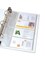 Avery Clear Business Card Organizer Pages for 5.5" x 8.5" Mini Binders, Pack of 5 Holds 40 Cards, 4 Packs, 20 Pages Total (76025)